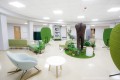 bejot-alberi-free-inspiration-2.jpeg