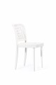 chair_beech_B20 (3).jpg_low.jpg