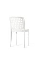 chair_beech_B20 (5).jpg_low.jpg
