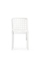 chair_beech_B20 (6).jpg_low.jpg