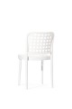 chair_beech_B20 (7).jpg_low.jpg