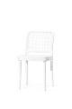 chair_beech_B20 (9).jpg_low.jpg
