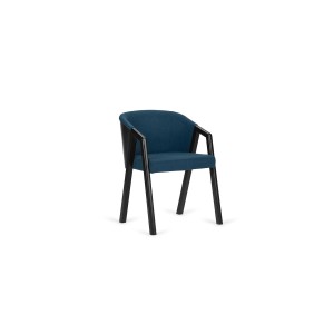 Elegancki fotel Aires W